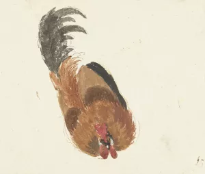 Studie van een dode haan Oil painting by Aert Schouman