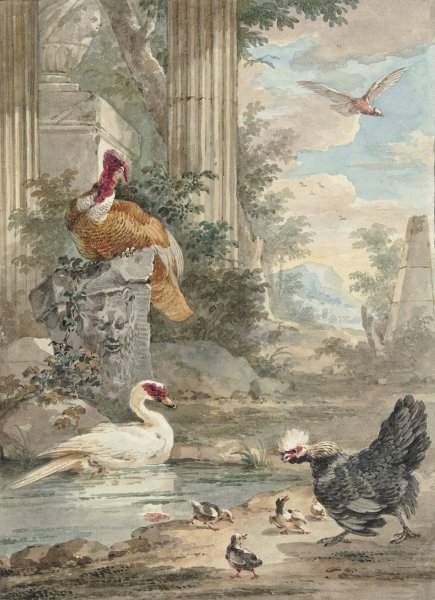Turkey and Other Birds near Classical Ruins in a Park  by Aert Schouman - Hand-Painted Oil Painting Reproduction
