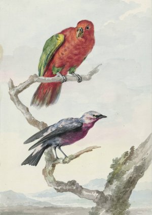 Twee vogels, waaronder een rood-groene papegaai by Aert Schouman Oil Painting