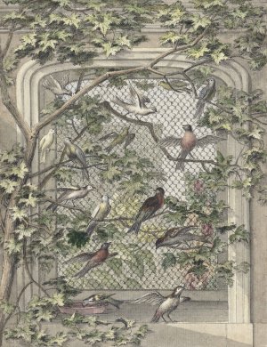 Voliere met veertien vogels by Aert Schouman Oil Painting