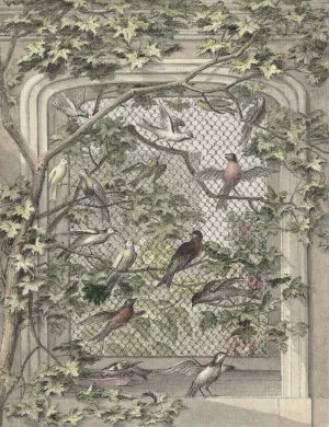 Voliere met veertien vogels by Aert Schouman Oil Painting