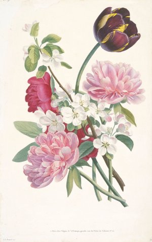 Bouquet of Tulip, Peonies, and a Branch from an Apple Tree by After Jean Louis Prevost Oil Painting