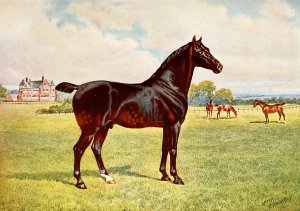 Dual Champion Pony Stallion, Berkeley Model by After Penry Powell Palfrey Oil Painting