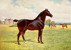 Dual Champion Pony Stallion, Berkeley Model Oil painting by After Penry Powell Palfrey