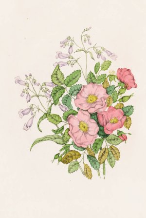 Early Wild Rose, Pentstemon Beard-Tongue by Agnes Fitzgibbon Oil Painting