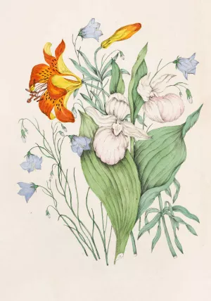 Wild Orange Lily, Canadian Harebell, Showy Lady's Slipper Oil painting by Agnes Fitzgibbon