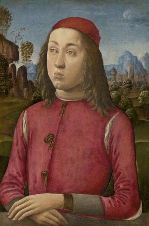 Portrait of a Youth by Agnolo Di Domenico Del Mazziere Oil Painting
