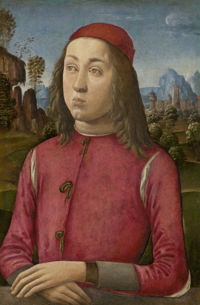 Portrait of a Youth  by Agnolo Di Domenico Del Mazziere - Hand-Painted Oil Painting Reproduction