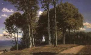 Paisaje Boscoso by Agustin Lhardy Garrigues - Oil Painting Reproduction