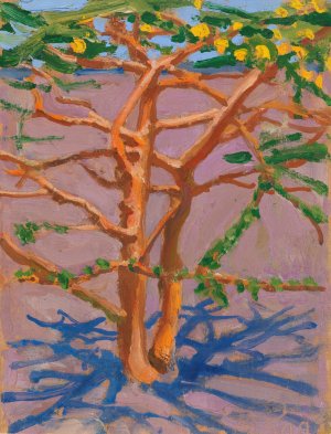 Acacia on the Savannah by Akseli Gallen-Kallela Oil Painting