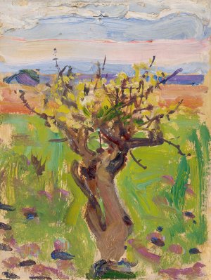 Dwarf Tree in the Desert by Akseli Gallen-Kallela Oil Painting
