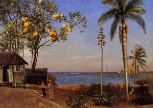 A View in the Bahamas by Albert Bierstadt - Oil Painting Reproduction