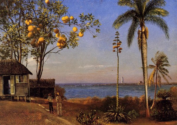 Main Product Photo of A View in the Bahamas Painting by Albert Bierstadt