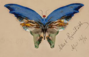 Blue Butterfly by Albert Bierstadt Oil Painting
