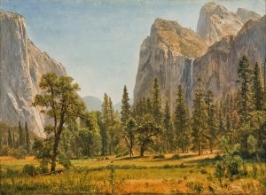 Bridal Veil Falls, Yosemite Valley, California by Albert Bierstadt Oil Painting