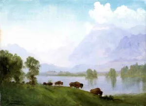 Buffalo Country by Albert Bierstadt - Oil Painting Reproduction