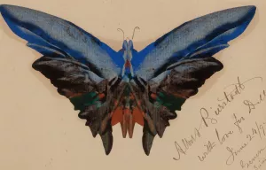Butterfly, For Dell by Albert Bierstadt Oil Painting