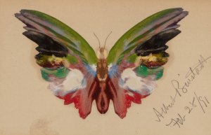 Butterfly by Albert Bierstadt Oil Painting