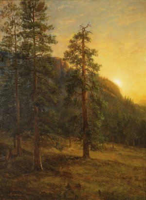 California Redwoods by Albert Bierstadt Oil Painting