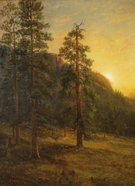 Main Product Photo of California Redwoods  Painting by Albert Bierstadt