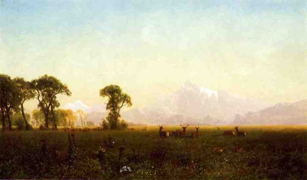 Main Product Photo of Deer Grazing, Grand Tetons, Wyoming Painting by Albert Bierstadt
