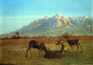 Deer in a Mountain Home by Albert Bierstadt Oil Painting