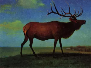 Elk Oil painting by Albert Bierstadt