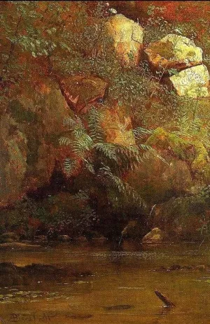 Ferns and Rocks on an Embankment by Albert Bierstadt Oil Painting