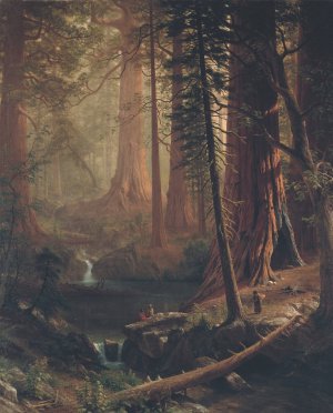 Giant Redwood Trees of California by Albert Bierstadt Oil Painting