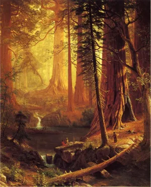 Giant Redwood Trees of California by Albert Bierstadt Oil Painting