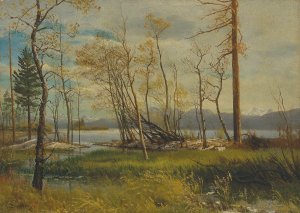 Lake Tahoe by Albert Bierstadt Oil Painting