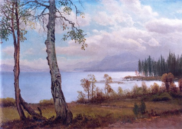 Main Product Photo of Lake Tahoe Painting by Albert Bierstadt