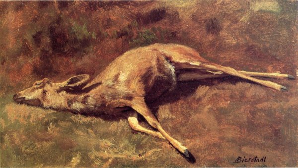 Main Product Photo of Native of the Woods Painting by Albert Bierstadt