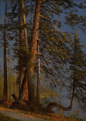Park at Vancouver by Albert Bierstadt Oil Painting