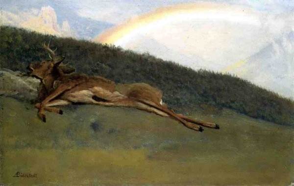 Main Product Photo of Rainbow over a Fallen Stag Painting by Albert Bierstadt