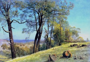 Rockland county, California by Albert Bierstadt Oil Painting