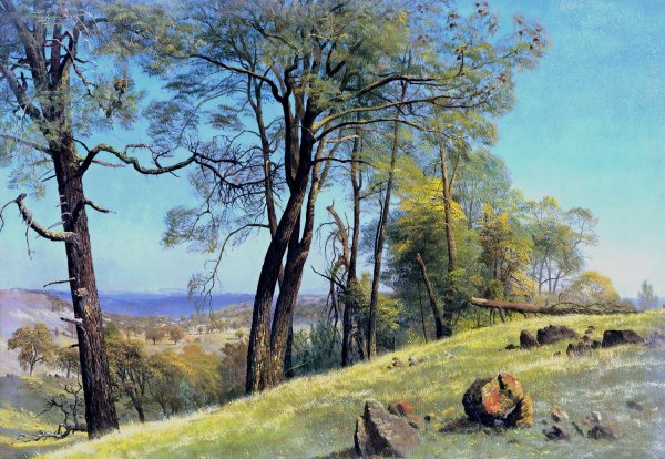 Main Product Photo of Rockland county, California  Painting by Albert Bierstadt