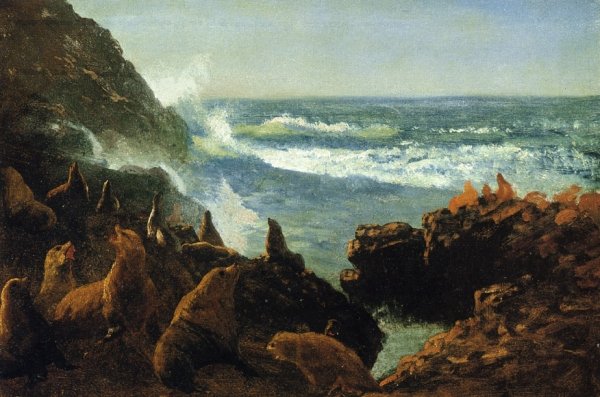 Main Product Photo of Sea Lions, Farallon Islands Painting by Albert Bierstadt