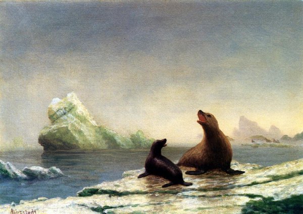 Main Product Photo of Seals Painting by Albert Bierstadt