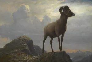 Study Of A Bighorn Ram by Albert Bierstadt Oil Painting