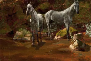 Study of Wild Horses by Albert Bierstadt Oil Painting