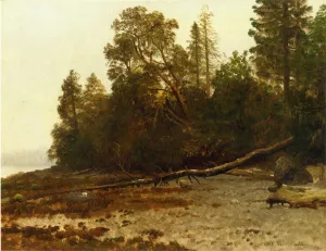 The Fallen Tree by Albert Bierstadt - Oil Painting Reproduction