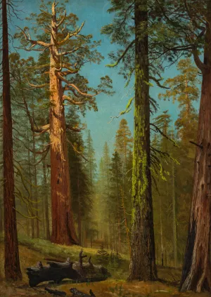 The Grizzly Giant Sequoia, Mariposa Grove, California by Albert Bierstadt Oil Painting