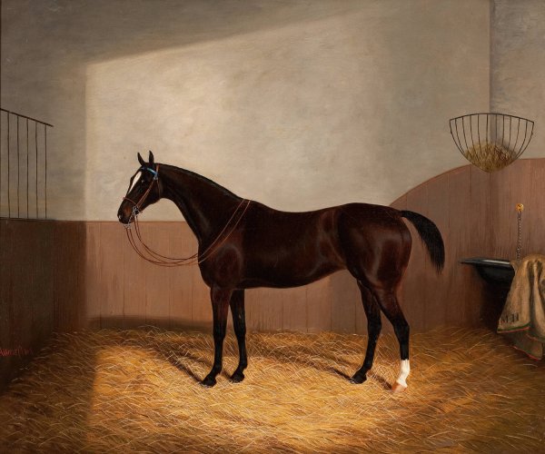 Main Product Photo of Race Horse Painting by Albert Clark
