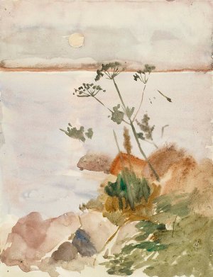 Seashore in the Moonlight by Albert Edelfelt Oil Painting
