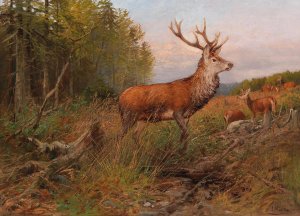 Red Deer On the Lookout by Albert Ernst Muhlig Oil Painting
