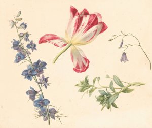 Bloemstudies by Albertus Jonas Brandt Oil Painting