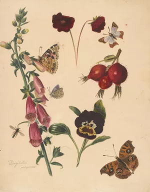 Studieblad met bloemen en vlinders by Albertus Steenbergen Oil Painting