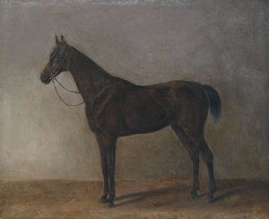 Brauner Wallach by Albrecht Adam Oil Painting