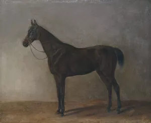 Brauner Wallach by Albrecht Adam Oil Painting